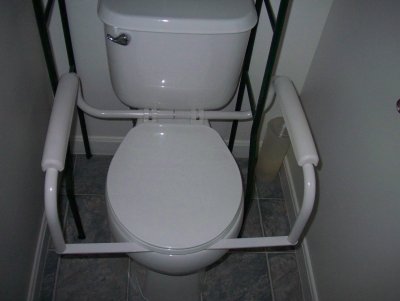 Toilet lift assist